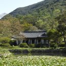 동백산방 이미지