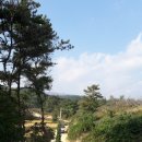 청하초 병설유치원 이미지