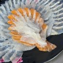 황금오징어 활어회센터2 이미지