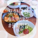 백번횟집 | 포항 물회 회덮밥 맛집 월포백번횟집 추천