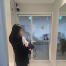 아라뷰스테이 이미지