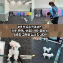 쿠쿠펫(KOOKOOPET) 이미지