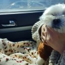 펜션1996 이미지