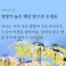 시인부동산공인중개사사무소 이미지