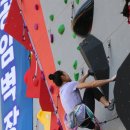 인공암벽장 이미지