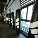 스퍼트 복싱 이미지