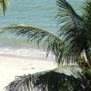 바람처럼구름처럼 이미지