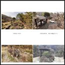 곤지암읍 경충대로 49-2 | 경기도 광주시 곤지암읍 장심리 주택 및 토지 경매(49%)