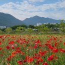 황산공원 이미지