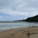 일광대복집 이미지