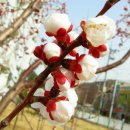 아름다운날 이미지