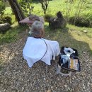 대강경로당 이미지