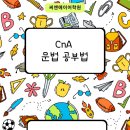씨엔에이교육 - 안양시 동안구 평촌대로 123 | 씨엔에이교육