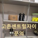 센트럴자이 이미지