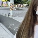 로슬린헤어 이미지