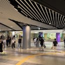 롯데백화점 잠실점 | [잠실 맛집] 스시아지 롯데백화점 잠실점 프리미엄 카이센동 내돈내산 후기