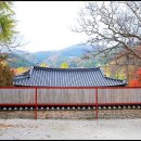 주마간사 (走馬看寺) 사찰기행 미륵도량 금산사
