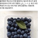 미미 닭도리탕 이미지