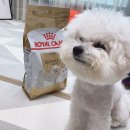 청라공감동물병원 이미지