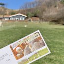 고산목장2 | 대관령 양떼목장 입장료 주차 이용시간, 강원도 평창 여행 필수 코스 완벽 정리