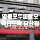 디오빌 동물병원 | 당산탈모 / 영등포두피탈모 : 닥터모락 당산점 관리후기