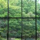 아니타 홈 이미지