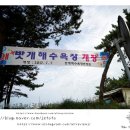 청포대솔밭야영장 이미지