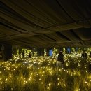 참문화홀릭