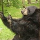 하얀네일 이미지