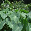 재미나 농장 이미지