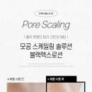 블랙밸런스