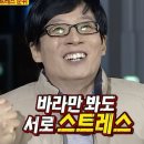 몽프로디