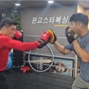 판교스타복싱