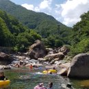 유평농장 이미지