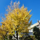 국립공주대학교 문화유산대학원 | [공주시/세종시/단과일] 공주대학교 특강 단체 가성비 샌드위치 과일 도시락 간식 후기