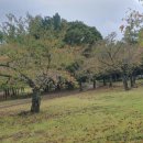 행정1통 이미지