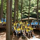 청태산그린 이미지