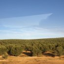 안서농장 이미지