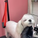 더 이쁘개 이미지