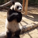비밀