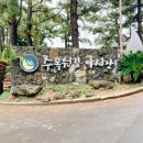 수목원테마파크 이미지