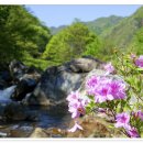 계곡이 있는 풍경 이미지