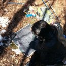 고정농장 이미지