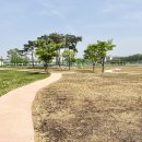 낙동가람 이미지