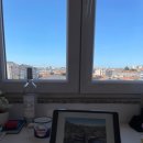 호식농장 | 유럽 현지 마트, 그리스 파예 그릭요거트 최애맛