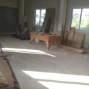 하남IC공인중개사사무소 이미지