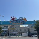 [충남/보령] 대천항수산시장 회포장 가격 솔직한 후기