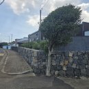 오케이하도 이미지