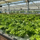 청산동물병원 이미지