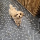 놀다가개유치원 이미지